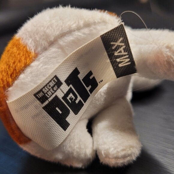 Max - Picture 4 of 4